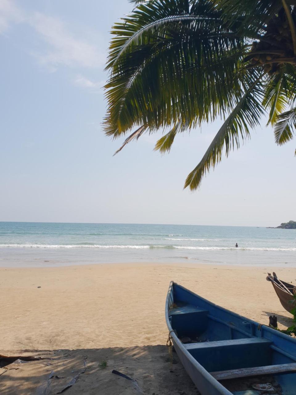 Palm Forest Bãi biển Palolem Ngoại thất bức ảnh