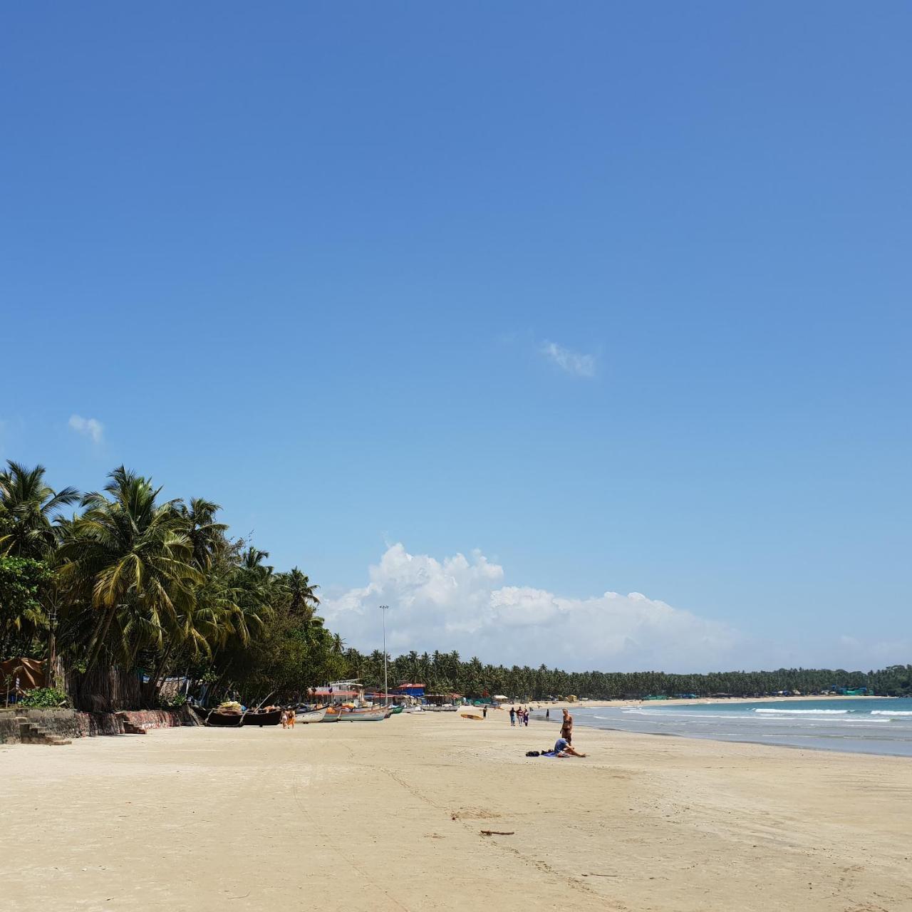 Palm Forest Bãi biển Palolem Ngoại thất bức ảnh