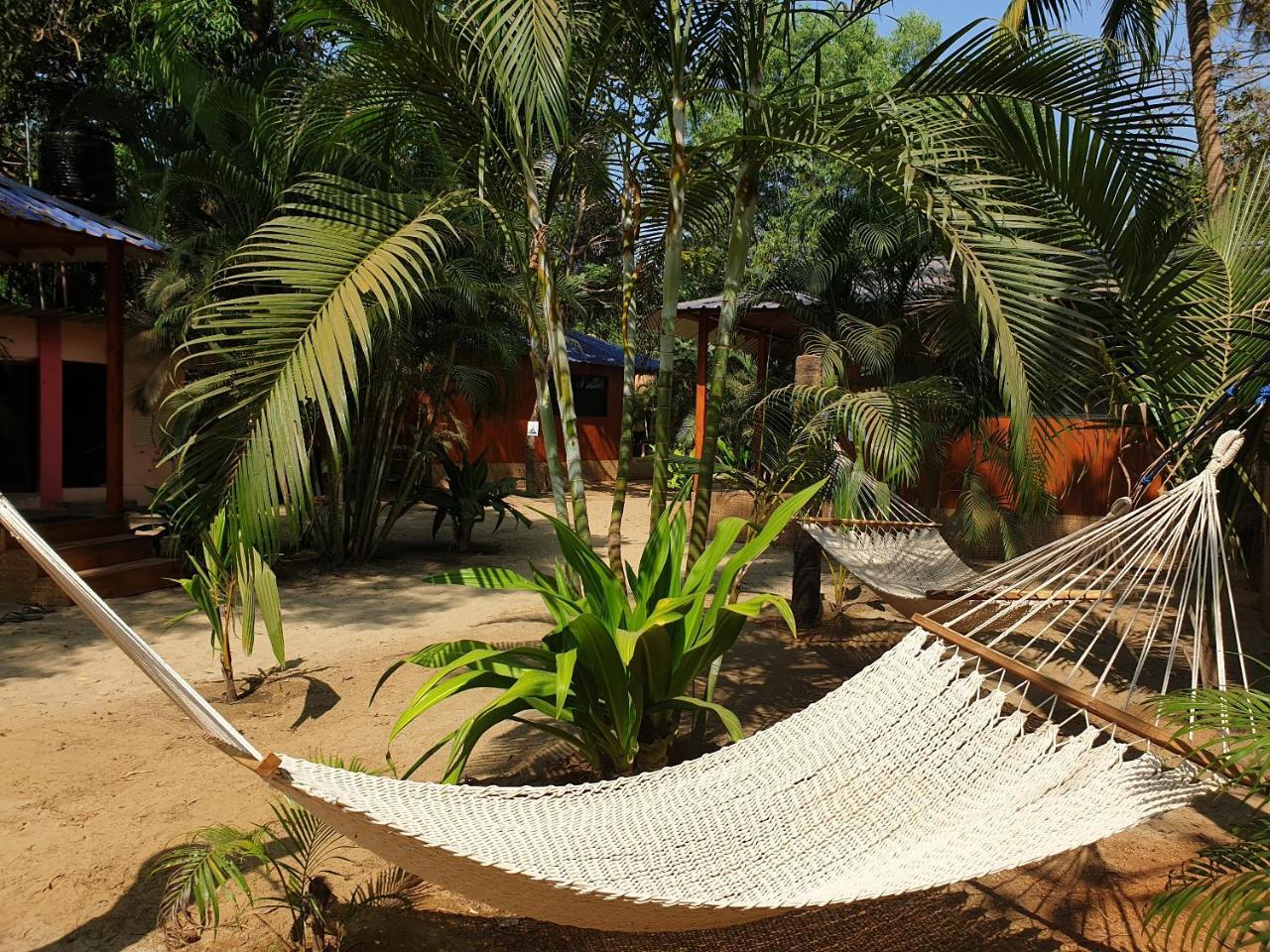 Palm Forest Bãi biển Palolem Ngoại thất bức ảnh