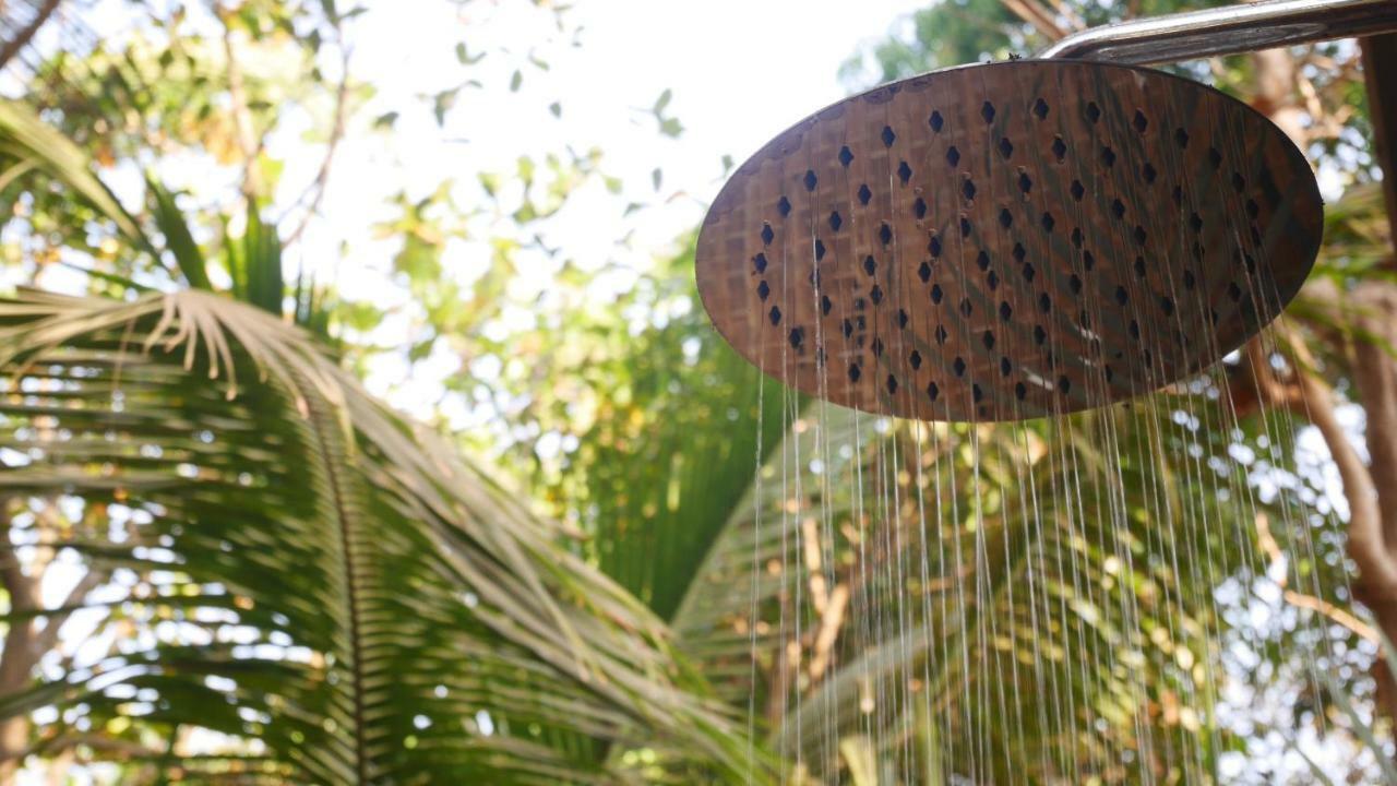 Palm Forest Bãi biển Palolem Ngoại thất bức ảnh